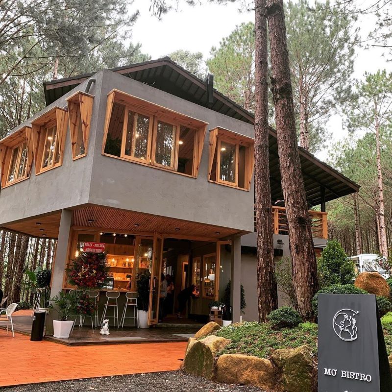 Nhà hàng Mơ Bistro là quán ăn ngon Đà Lạt nằm giữa rừng thông rộng lớn