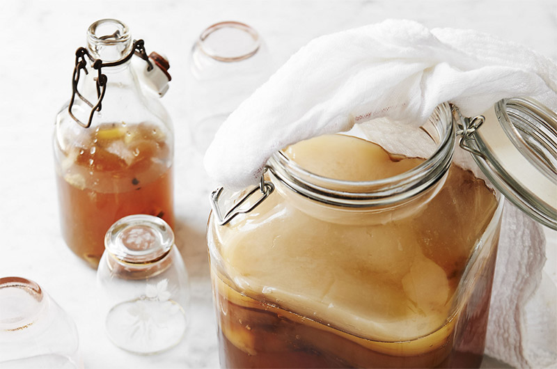 Kombucha chứa nhiều lợi khuẩn tốt cho đường tiêu hóa