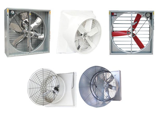 Các loại quạt hút gió công nghiệp giá rẻ phổ biến