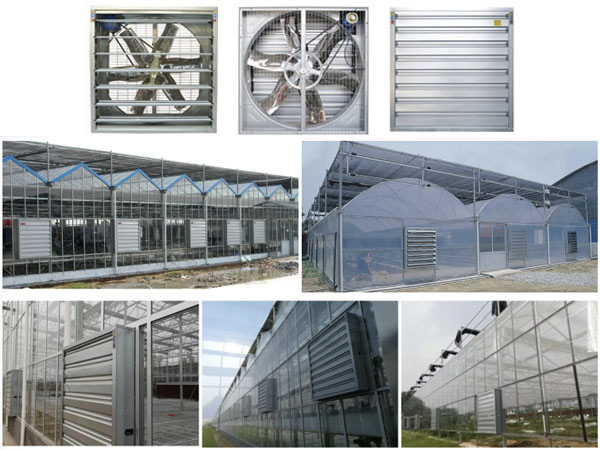 Ứng dụng của quạt hút gió công nghiệp trong mọi lĩnh vực