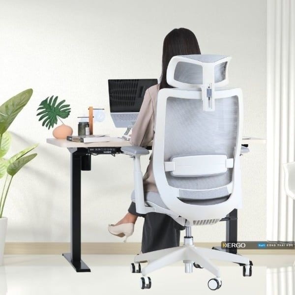 Ghế lưới – Hiện đại, thoáng mát và công thái học