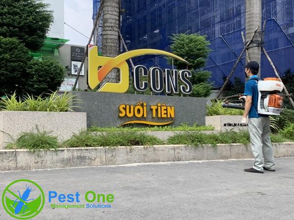 Giải pháp hiệu quả từ công ty diệt côn trùng tại tphcm