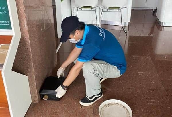 Giải pháp hiệu quả từ công ty diệt côn trùng