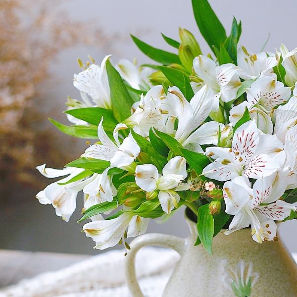 Cách chọn hoa chúc mừng sinh nhật sếp