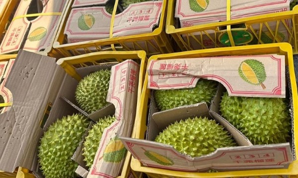 Bí quyết đóng gói trái cây xuất khẩu đạt chuẩn quốc tế