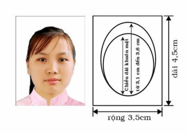 Ảnh để gia hạn visa cỡ bao nhiêu theo quy định chung?