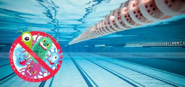 Vai trò của javen trong việc giữ nước bể bơi luôn an toàn
