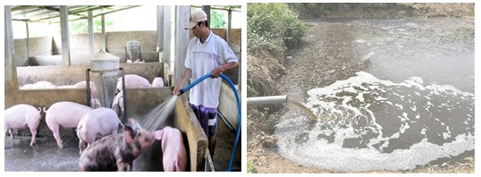 xu-ly-nuoc-thai-chan-nuoi-1