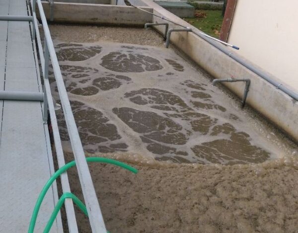 Xử lý nước thải chăn nuôi: Giải pháp hiệu quả và bền vững