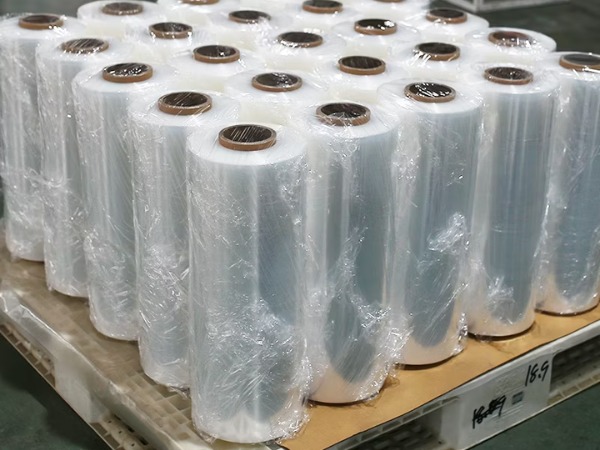 mang-chit-va-mang-pe-co-phai-la-mot-loai-khong-1