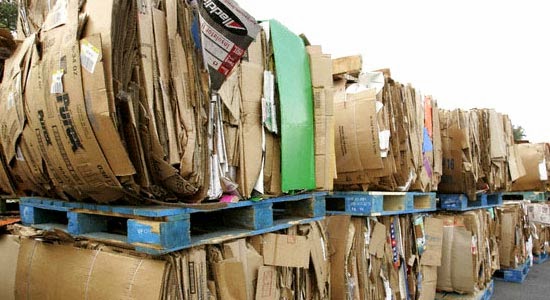 Phế liệu giấy, bìa carton