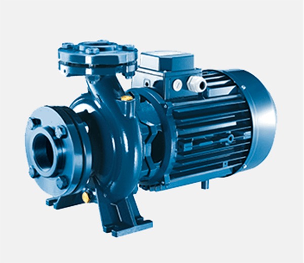 Tư vấn chọn mua máy bơm nước 2HP chuẩn công suất