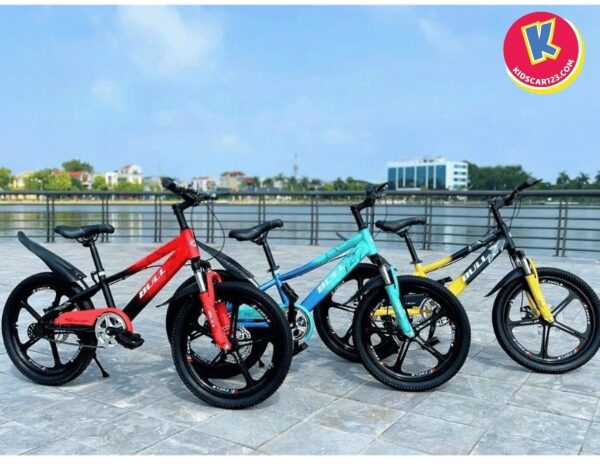 Cách Lắp Chân Chống Xe Đạp Trẻ Em Tại Nhà Đúng Kỹ Thuật
