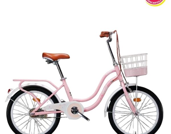 Xe Đạp Trẻ Em Màu Hồng Giá Bao Nhiêu Là Hợp Lý?