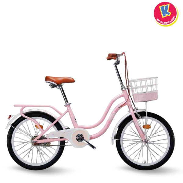 Xe Đạp Trẻ Em Màu Hồng Giá Bao Nhiêu Là Hợp Lý?